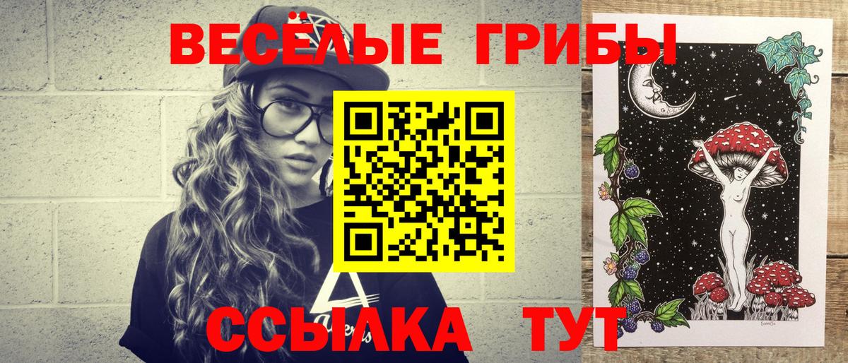 Камышин  Псилоцибиновые грибы ЛСД  Вход с VPN 